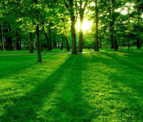 怀孕初期体重越来越瘦了