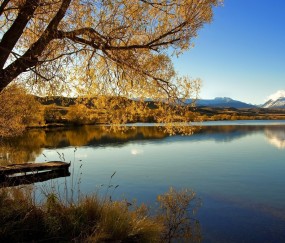 改善孕妇睡睡眠的奶粉