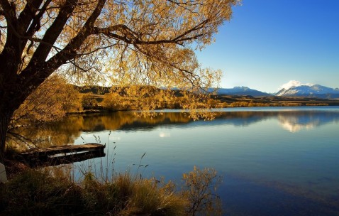 改善孕妇睡睡眠的奶粉