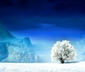 怀孕初期胎位不正怎么流