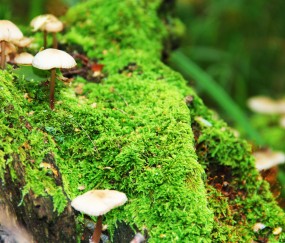 怀孕初期肚子一直抽筋怎么回事