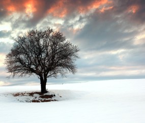 怀孕初期吃不下东西可以买什么