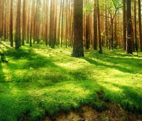 美素佳儿孕妇奶粉香港卖多少钱