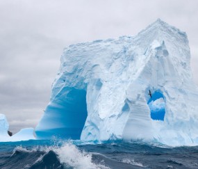 怀孕初期牙疼引起头痛吗