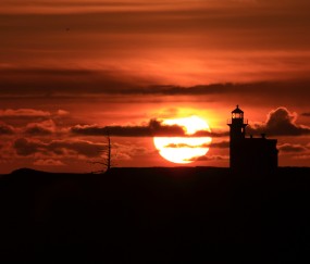 怀孕初期症状吃些什么