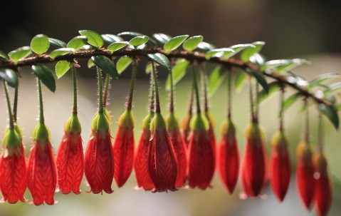 四五月份试管成功率