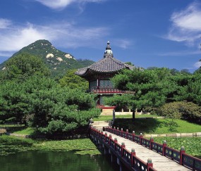 怀孕初期能不能吃白加黑