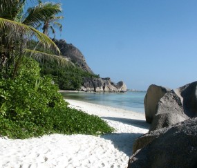 怀孕初期排卵测试纸第几天会显印