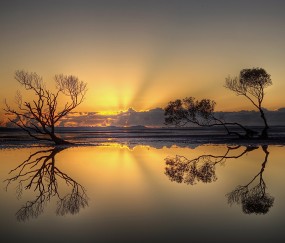 怀孕初期吃酸呕吐