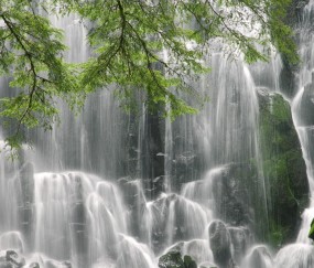 怀孕初期乳房不胀痛是不是宫外孕