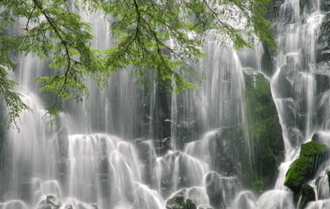 怀孕初期乳房不胀痛是不是宫外孕