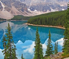 2017同济试管成功率的简单介绍