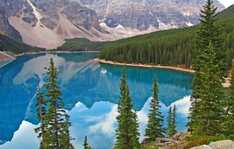 2017同济试管成功率的简单介绍