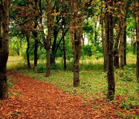 美赞臣孕妇奶粉真假辨别