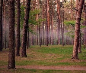 35岁做试管成功率