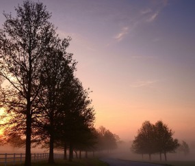 怀孕初期每天都有例假感
