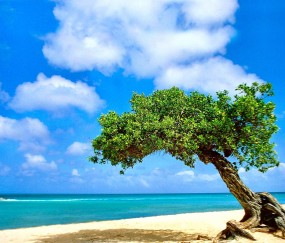 胎儿健康筛查要做哪些