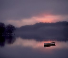 怀孕初期应该吃什么叶酸好