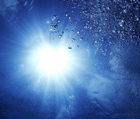 怀孕初期能闻薄荷味吗