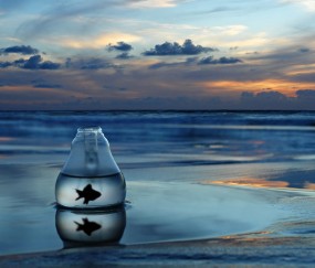 幼儿体格健康记录