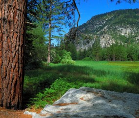 怀孕初期一天吃一顿饭有什么影响