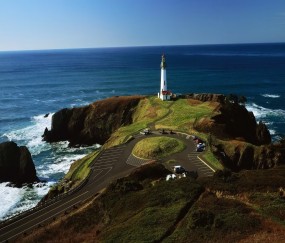 幼儿入园减定期健康制度