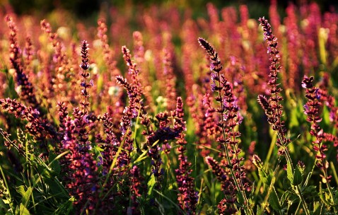 甲亢女性有什么表现症状