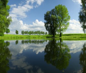 怀孕初期鼻子旁边发痘