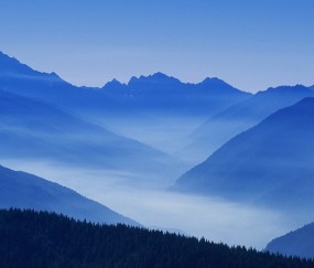 怀孕初期可以饮鲍鱼煲鸡汤吗