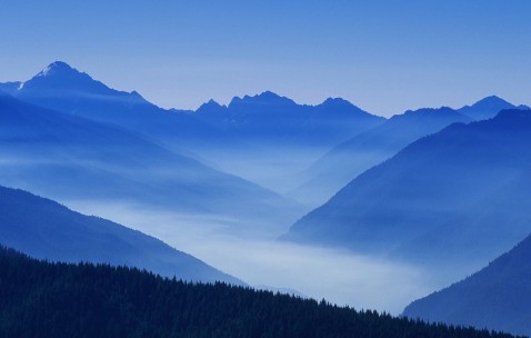 怀孕初期可以饮鲍鱼煲鸡汤吗