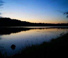 怀孕初期能吃牛厘子吗