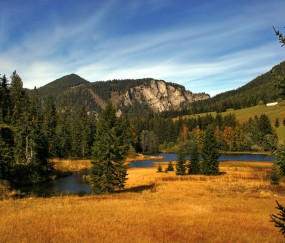 幼儿健康教学方法有哪些特点