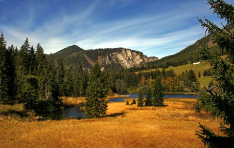 怀孕初期还可以少量喂奶吗