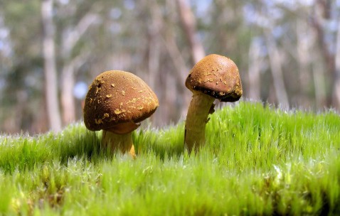 怀孕初期肚子胀疼下坠怎么回事