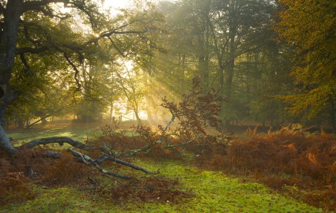 第三代试管一次成功率