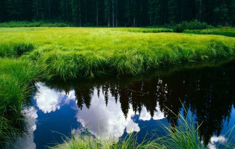 国产奶粉比进口奶粉