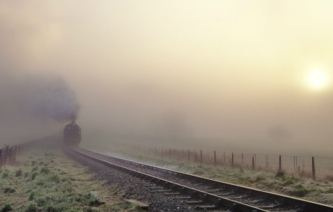 人的正常身高表